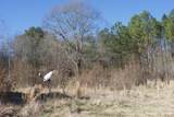 371 Thomas Bluff Road - Photo 3