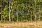 12 Sturgeon Creek Road - Photo 31