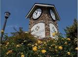 8856-104 Snowy Owl Road - Photo 10