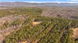 Tract 11 Conniston Road - Photo 18