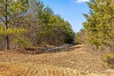 Tract 11 Conniston Road - Photo 7