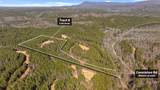 Tr 5-10 Conniston Road - Photo 5