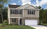 7378 Bendire Loop - Photo 1