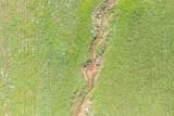 420 Chatata Valley Road - Photo 18