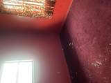 251 Iowa Avenue - Photo 8