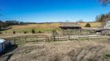 497 Council Road - Photo 65