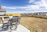 5021 Skyline Way - Photo 39