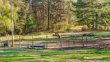 4356 Trewhitt Road - Photo 71