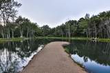 7393 Blackstone Drive - Photo 54