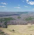 305 County Road 180 - Photo 21