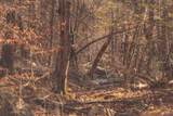 3229 Old State Highway 28 - Photo 28
