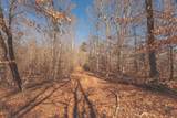 3229 Old State Highway 28 - Photo 32
