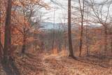 3229 Old State Highway 28 - Photo 33