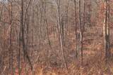 3229 Old State Highway 28 - Photo 35