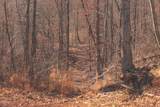 3229 Old State Highway 28 - Photo 36