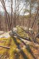 3229 Old State Highway 28 - Photo 39