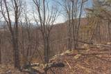 3229 Old State Highway 28 - Photo 40