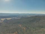 3229 Old State Highway 28 - Photo 47