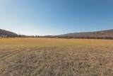 3229 Old State Highway 28 - Photo 58