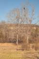 3229 Old State Highway 28 - Photo 75