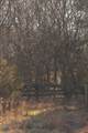 3229 Old State Highway 28 - Photo 80
