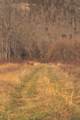 3229 Old State Highway 28 - Photo 87