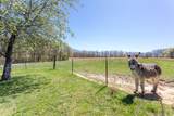 175 Twitty Road - Photo 38