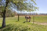 175 Twitty Road - Photo 40