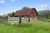 517 Possum Trot Road - Photo 60