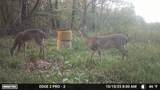 1527 Glass Mill Road - Photo 26