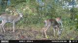 1527 Glass Mill Road - Photo 27