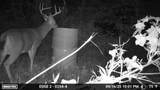 1527 Glass Mill Road - Photo 30