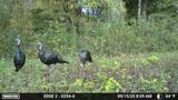 1527 Glass Mill Road - Photo 31
