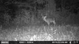 1527 Glass Mill Road - Photo 32