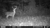 1527 Glass Mill Road - Photo 33
