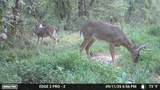 1527 Glass Mill Road - Photo 35