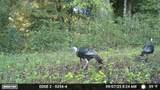 1527 Glass Mill Road - Photo 36