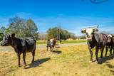1527 Glass Mill Road - Photo 5