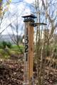 1321 Sand Mountain Road - Photo 5