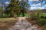 1321 Sand Mountain Road - Photo 6