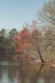 12733 Jones Gap Road - Photo 105