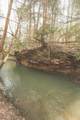 12733 Jones Gap Road - Photo 15
