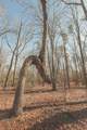 12733 Jones Gap Road - Photo 16