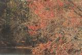 12733 Jones Gap Road - Photo 20