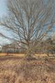 12733 Jones Gap Road - Photo 23