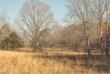 12733 Jones Gap Road - Photo 24