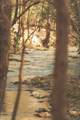 12733 Jones Gap Road - Photo 38