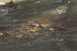 12733 Jones Gap Road - Photo 39