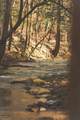 12733 Jones Gap Road - Photo 41