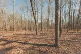 12733 Jones Gap Road - Photo 47